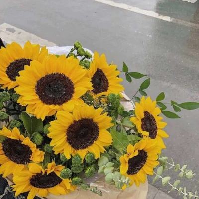 196体育(官方)APP下载安装