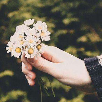 半岛·综合体育官网入口