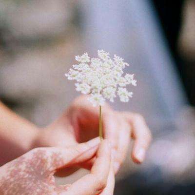 球探比分旧版大全app下载